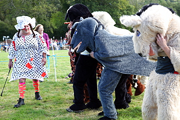 Pantomime horse race with Dame as starter, Widecombe Fair, Dartmoor, Devon, England, United Kingdom, Europe