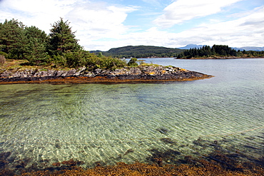 The clear water of Hardangerfjord, Norway, Scandinavia, Europe