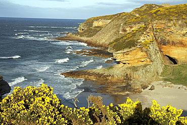 Cliffs near Findhorn on the Morayfirth, Scotland, United Kingdom, Europe