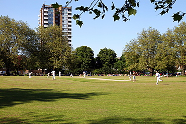 Cricket, London Fields, Hackney, East London, England, United Kingdom, Europe