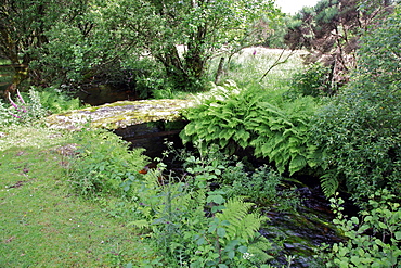 Small clapper bridge over a stream near Rowden, Dartmoor, Devon, England, United Kingdom, Europe