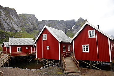 Summer cabins at Reine, Lofoten Islands, Norway, Scandinavia, Europe 