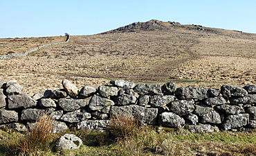 Dry stone walling from granite boulders, Dartmoor National Park, Devon, England, United Kingdom, Europe