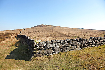 Granite dry stone wall, near Widecombe-in-the-Moor, Dartmoor National Park, Devon, England, United Kingdom, Europe