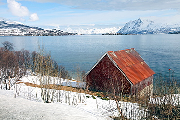 Boathouse on the island of Kvaloya (Whale Island), Troms, Norway, Scandinavia, Europe