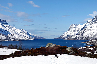 Seaward view from the top of Ersfjord, Kvaloya (Whale Island), Troms, arctic Norway, Scandinavia, Europe