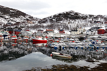 Fishing boats in the harbour at Skjervoy, Troms, Norway, Scandinavia, Europe