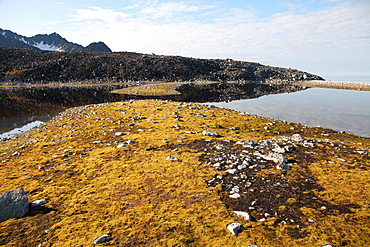 Glacial scree, foreshore, Trinity Hamn, Magdalenefjord, Svalbard