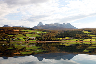 Farms along the shores of Balsfjord, Troms, North Norway, Norway, Scandinavia, Europe