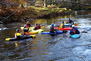 Kayakers on the River Dart, Dartmoor National Park, near Ashburton, Devon, England, United Kingdom, Europe