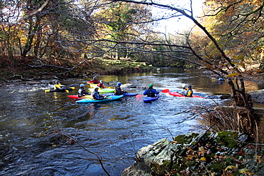 Kayakers on the River Dart, Dartmoor National Park, near Ashburton, Devon, England, United Kingdom, Europe