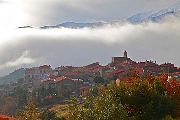 Morning mist in Arboussols, a village in the Pyrenees, Pyrenees-Orientales, Languedoc-Roussillon, France, Europe 