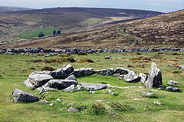 Ruins of early Bronze Age house, about 3500 years old, Grimspound, Dartmoor National Park, Devon, England, United Kingdom, Europe
