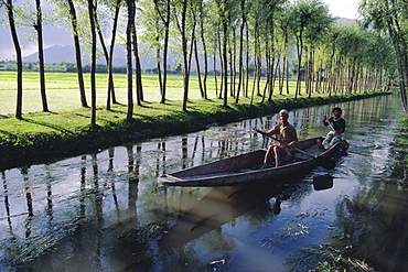 Paddy fields and waterway with local boat, Kashmir, India