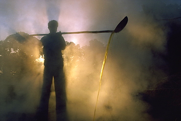 Boiling off water from cane juice to make jaggery (sugar), after sugar cane harvest, Gujarat state, India, Asia