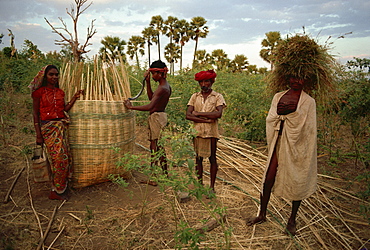 Rathwa tribal people and grain basket, Panchmahal district, Gujarat state, India, Asia