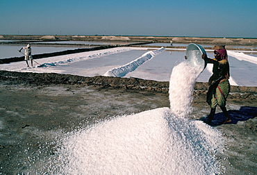 Salt pans, Kutch district, Gujarat, India, Asia