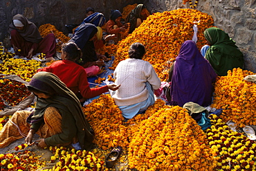 Flower market, Lado Sarai, Delhi, India, Asia