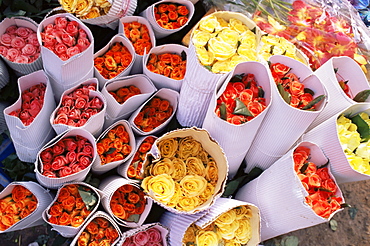 Flower market, Lado Sarai, Delhi, India, Asia