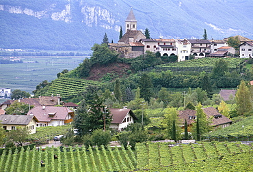 Traminer, the town that gave its name to Gewurztraminer wine, Bolzano, Alto Adige, Italy, Europe