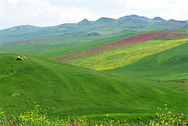 Fields and rolling hills in a typical landscape near Misilmeri in central western Sicily, Italy, Europe