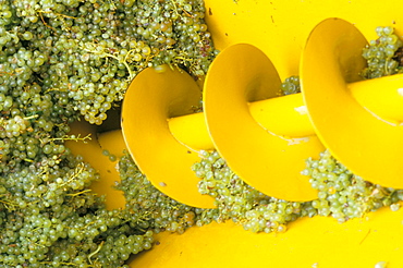 Close-up of grape crushing machine at the Soave co-operative, Soave, Veneto, Italy, Europe