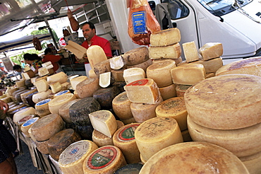 Pecorino cheese in the market, Santa Teresa Gallura, Sardinia, Italy, Europe