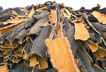 Cork bark for bottle corks stacked to dry near Tempio Pausania, island of Sardinia, Italy, Mediterranean, Europe