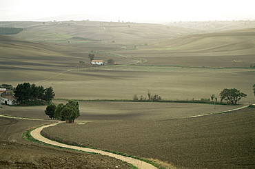 Landscape near Larino, Molise, Italy, Europe