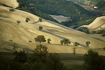 Landscape near Larino, Molise, Italy, Europe