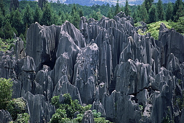 Limestone Stone Forest, near Kunming, Yunnan province, China, Asia