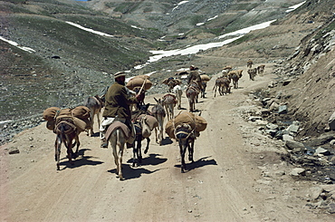 Near the top of the pass connecting Chitral, Pakistan, Asia