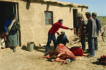 Tibetans preparing yak meat, Qinghai, China, Asia