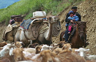 Summer migration of Kazaks, Altay Mountains, northeast Xinjiang, China, Asia