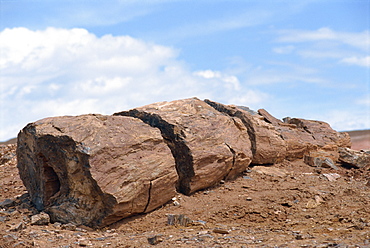 Petrified forest in Gurbantinggut Desert in north east Xinjiang, China, Asia