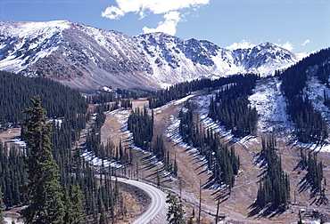 Erosion prevention, contoured bands of trees unfelled, also acting as fire break, Leadville, Colorado, United States of America, North America