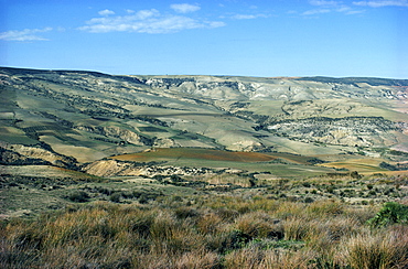 Farmlands near Oran, Algeria, North Africa, Africa