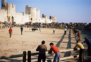 Aigues Mortes, Camargue, Provence, France, Europe