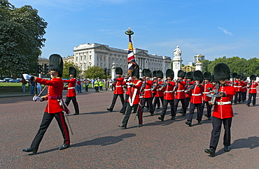 Grenadier Guards march to Wellington Barracks after Changing the Guard ceremony, London, England, United Kingdom, Europe