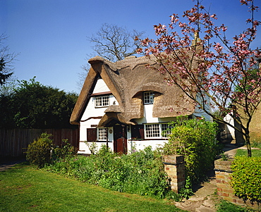 Cottage in spring, Houghton, Cambridgeshire, England, United Kingdom, Europe