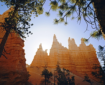 Queens Garden, Bryce National Park, Utah, USA