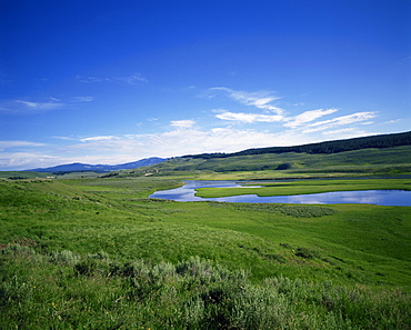 The Hayden Valley, Yellowstone National Park, UNESCO World Heritage Site, Wyoming, United States of America, North America