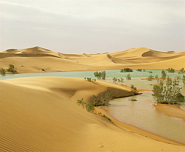 Flood waters in Algerian Sahara, at edge of Grand Erg Occidental, south of El-Golea, Algeria, North Africa, Africa