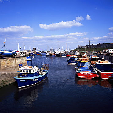 Harbour, Seahouses, Northumberland, England, United Kingdom, Europe