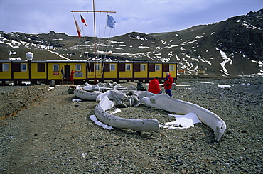 The Polish Arctowski Base, King George Island, South Shetland Islands, Antarctica, Polar Regions