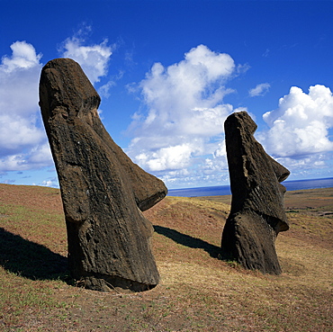 Rano Raraku, outer crater slopes, birthplace of the moai (statues), Rapa Nui National Park, UNESCO World Heritage Site, Easter Island, Chile, Pacific, South America