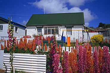 Typical residence, Stanley, Falkland Islands, South America