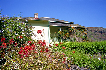 Flowers in front of Briars Pavilion, the house where Napoleon stayed from October to December 1815, on St. Helena, Mid Atlantic