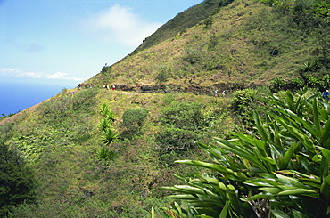 Walkers on Green Mountain, Ascension Island, Mid Atlantic