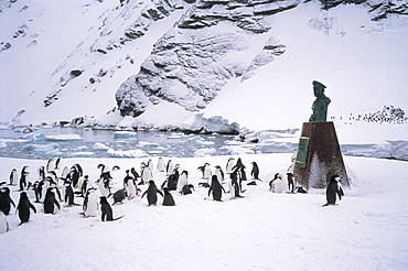 Point Wild, where Shackleton's men were rescued in 1916, one of the most historic locations in the Antarctic, Elephant Island, Antarctica, Polar Regions